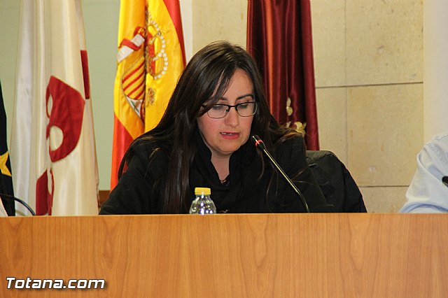 Pleno ordinario noviembre 2016 - 39