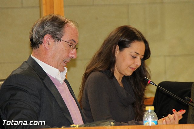 Pleno ordinario noviembre 2016 - 40