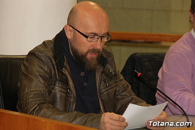 Pleno ordinario enero 2018 - 2