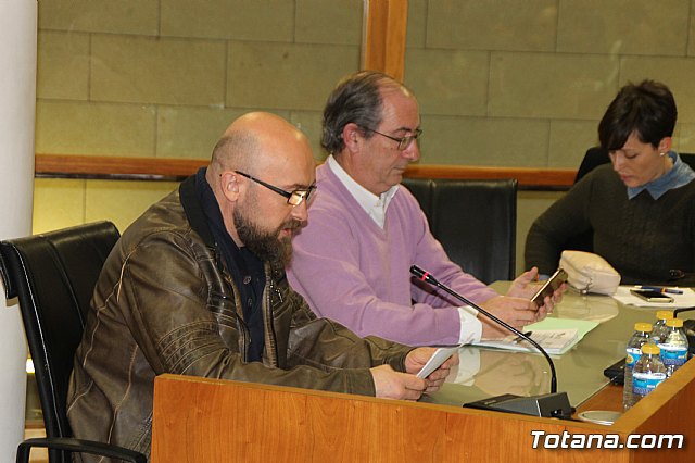 Pleno ordinario enero 2018 - 4