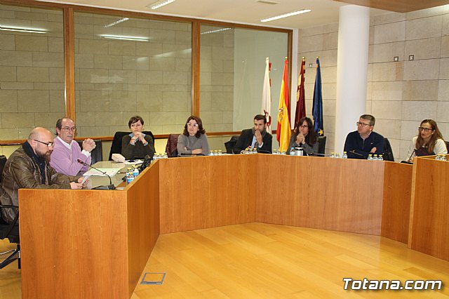 Pleno ordinario enero 2018 - 5