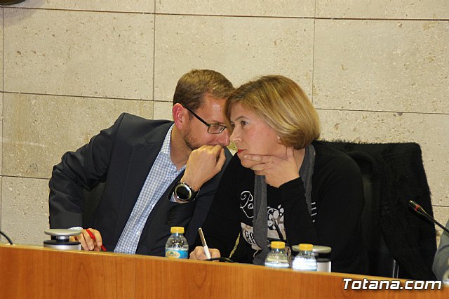 Pleno ordinario enero 2018 - 6