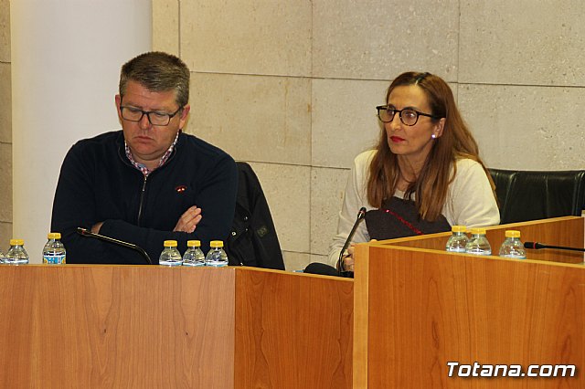 Pleno ordinario enero 2018 - 10