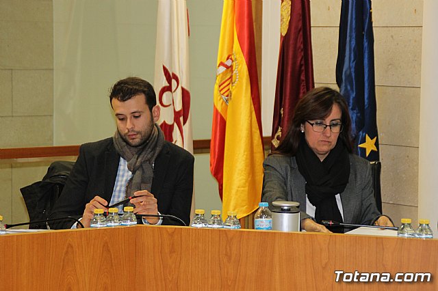 Pleno ordinario enero 2018 - 11