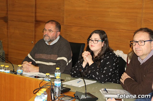 Pleno ordinario enero 2018 - 12