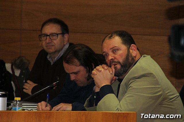 Pleno ordinario enero 2018 - 14