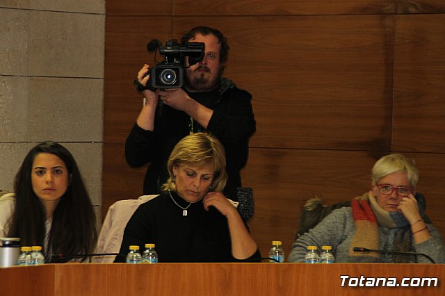 Pleno ordinario enero 2018 - 15