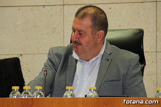 Pleno ordinario enero 2018 - 16