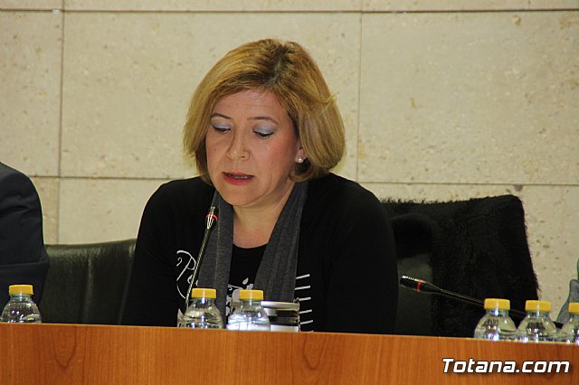 Pleno ordinario enero 2018 - 17