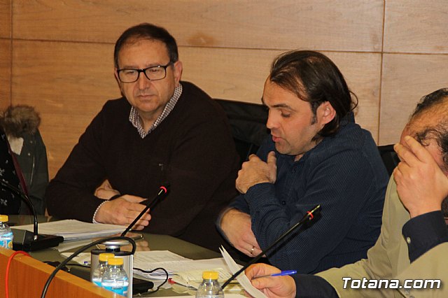 Pleno ordinario enero 2018 - 18