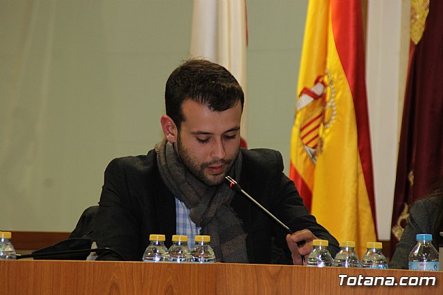 Pleno ordinario enero 2018 - 19