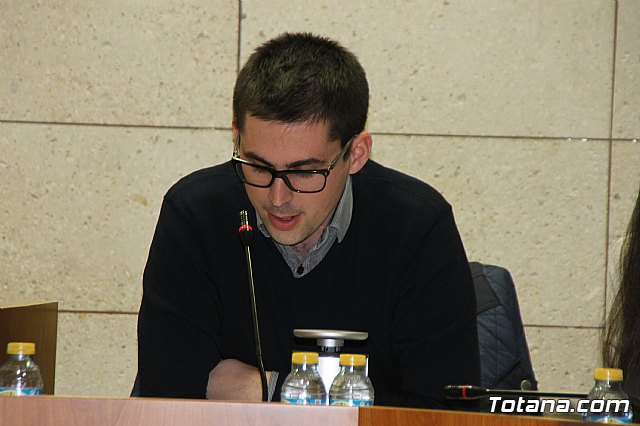 Pleno ordinario enero 2018 - 20