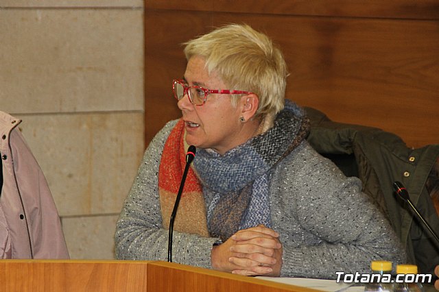 Pleno ordinario enero 2018 - 26