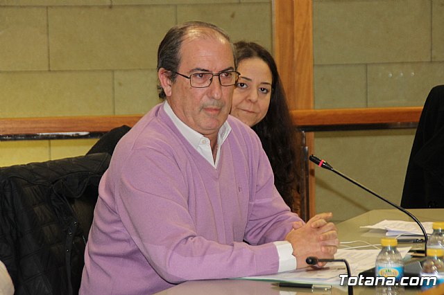 Pleno ordinario enero 2018 - 29