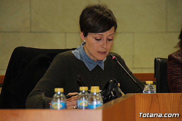 Pleno ordinario enero 2018 - 31