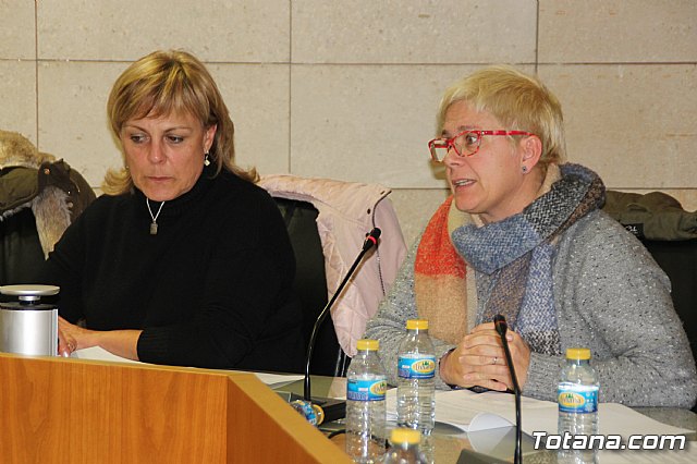 Pleno ordinario enero 2018 - 32