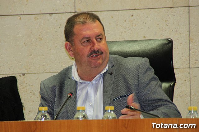 Pleno ordinario enero 2018 - 33