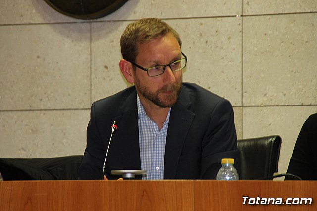 Pleno ordinario enero 2018 - 36