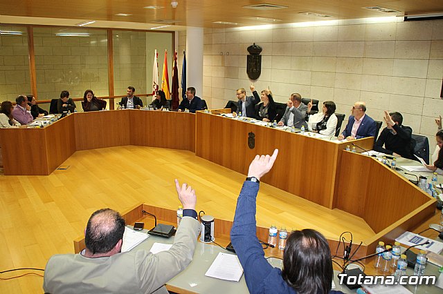 Pleno ordinario enero 2018 - 37