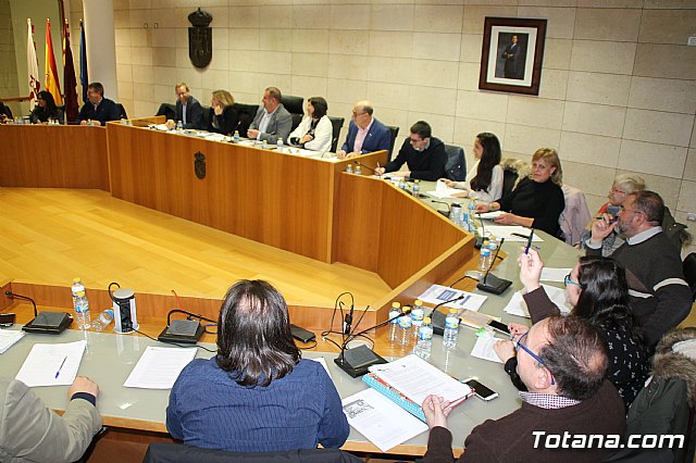 Pleno ordinario enero 2018 - 38