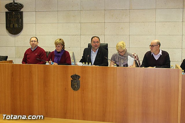 Pleno ordinario febrero 2016 - 1