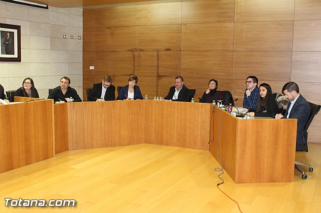 Pleno ordinario febrero 2016 - 3