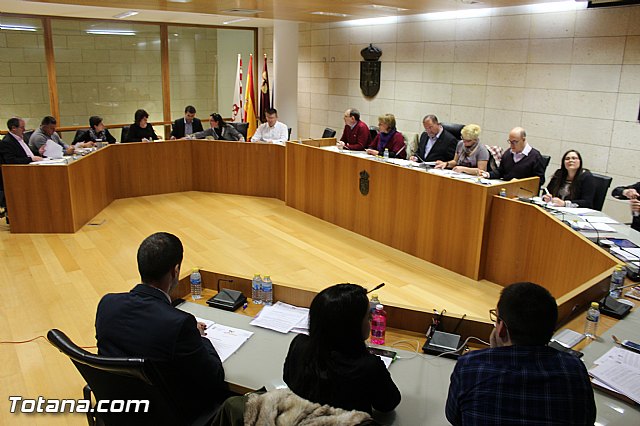 Pleno ordinario febrero 2016 - 7