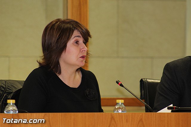 Pleno ordinario febrero 2016 - 11