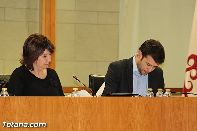 Pleno ordinario febrero 2016 - 13