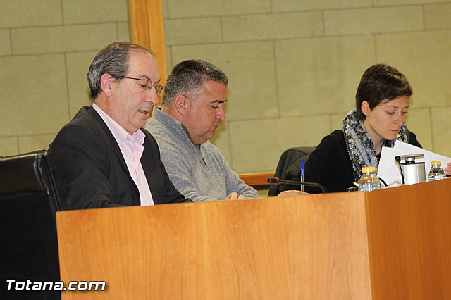 Pleno ordinario febrero 2016 - 14