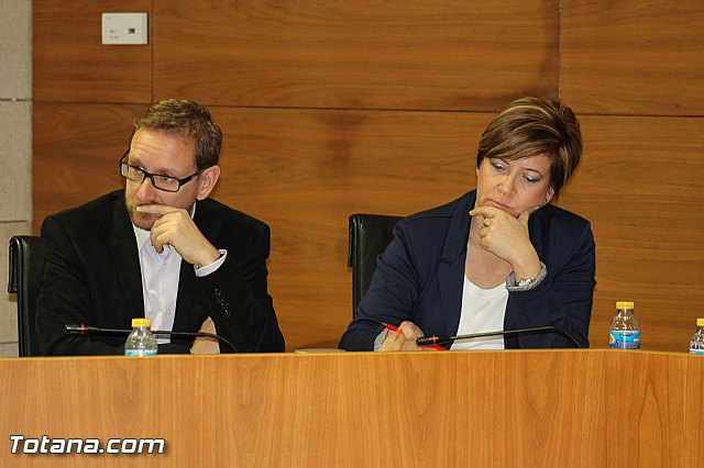 Pleno ordinario febrero 2016 - 20