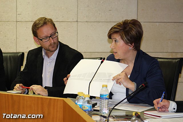 Pleno ordinario febrero 2016 - 27