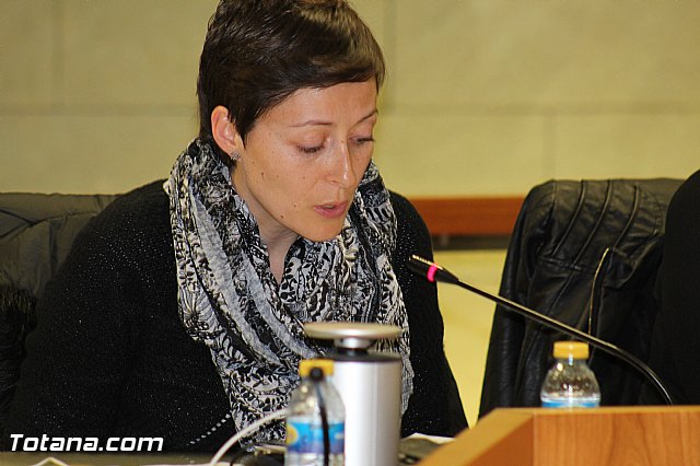 Pleno ordinario febrero 2016 - 30