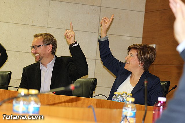 Pleno ordinario febrero 2016 - 31