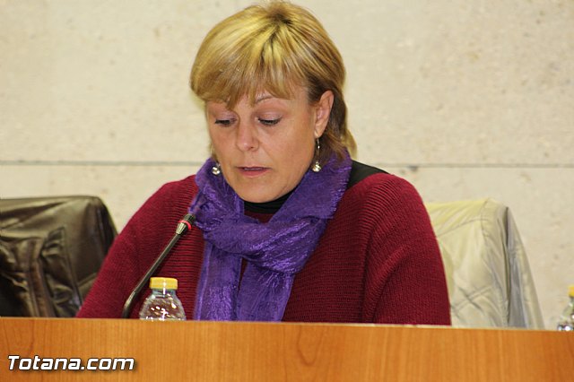 Pleno ordinario febrero 2016 - 32