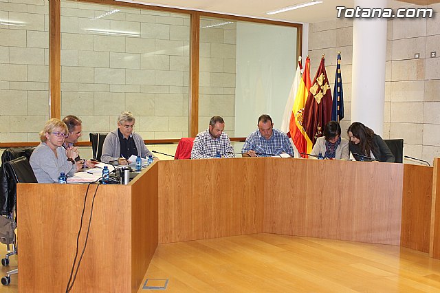 Pleno ordinario abril 2013 - 2