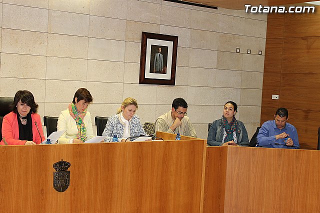 Pleno ordinario abril 2013 - 4