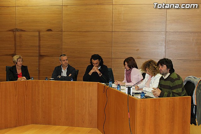 Pleno ordinario abril 2013 - 5