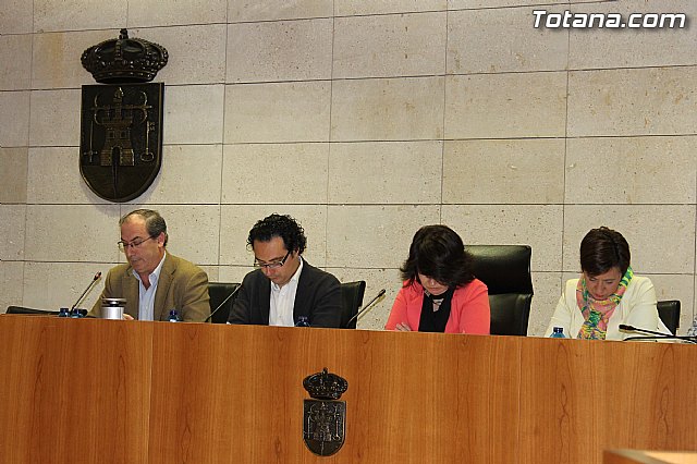 Pleno ordinario abril 2013 - 6