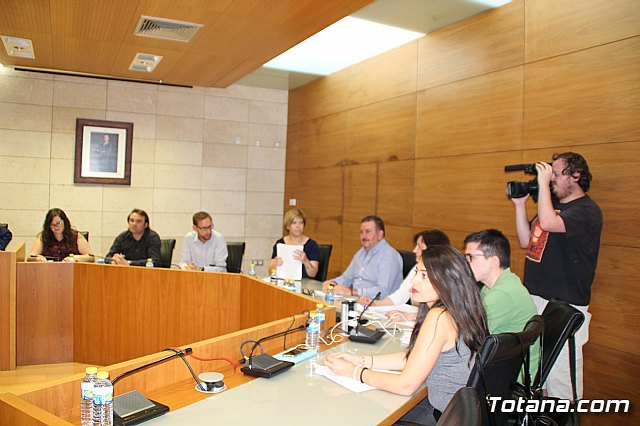 Pleno ordinario mayo 2017 - 6