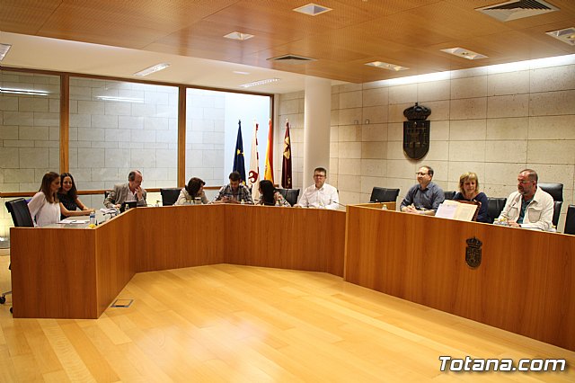 Pleno ordinario mayo 2017 - 8
