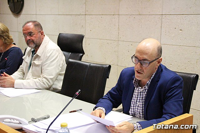 Pleno ordinario mayo 2017 - 9