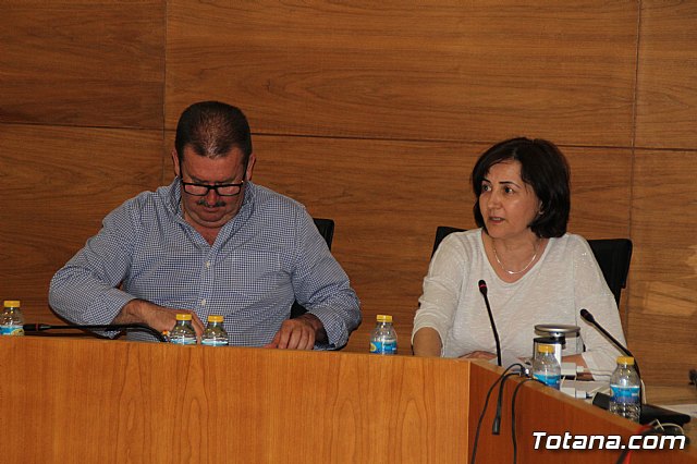 Pleno ordinario mayo 2017 - 21