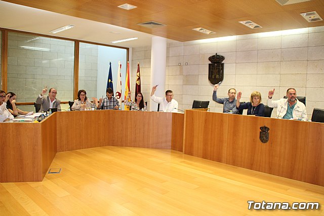 Pleno ordinario mayo 2017 - 28