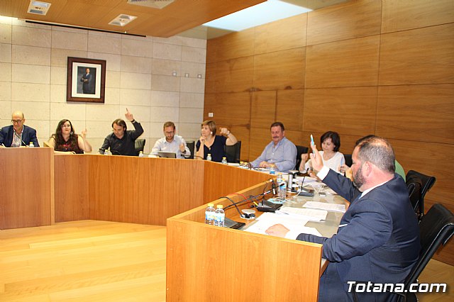 Pleno ordinario mayo 2017 - 29