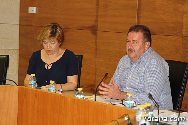 Pleno ordinario mayo 2017 - 36