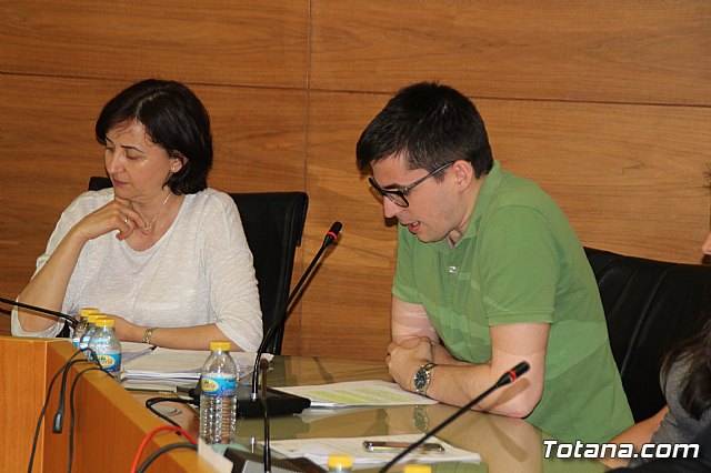 Pleno ordinario mayo 2017 - 39