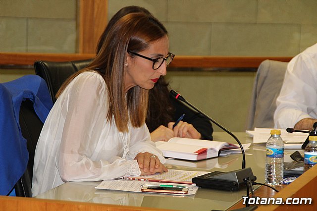 Pleno ordinario mayo 2017 - 40