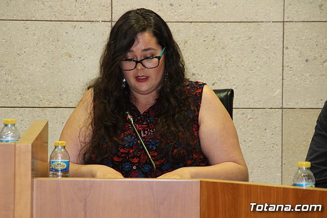 Pleno ordinario mayo 2017 - 43