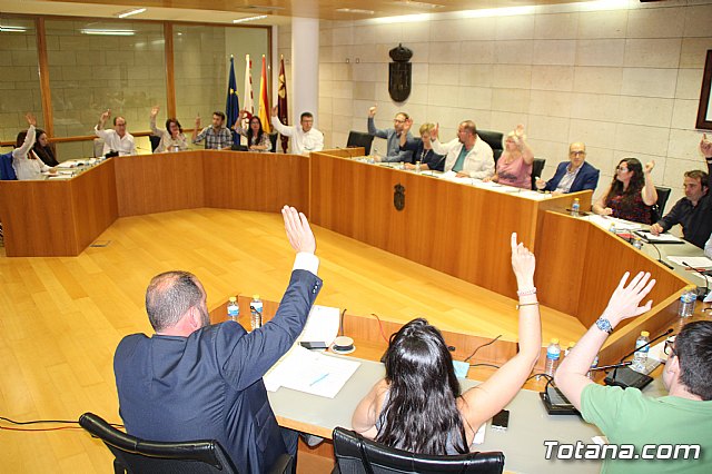Pleno ordinario mayo 2017 - 44